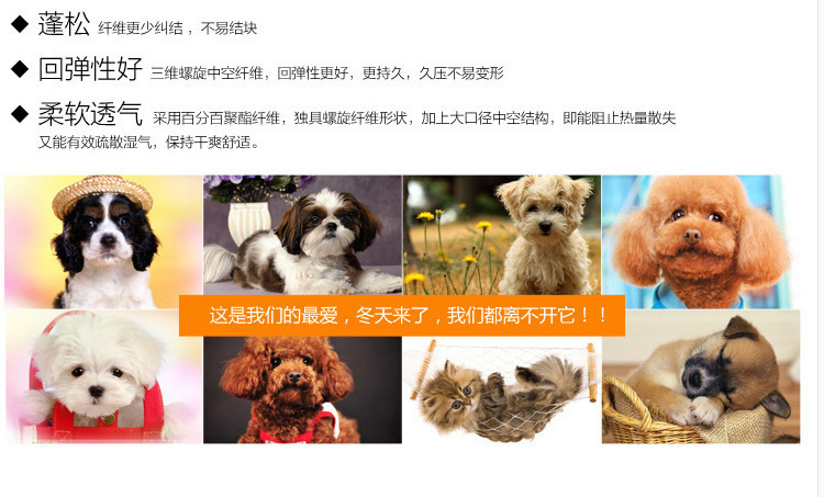 2298797705_1611465256