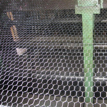 �S��ֱ�N���B�⠝������С���ǾW������Ʒ�|