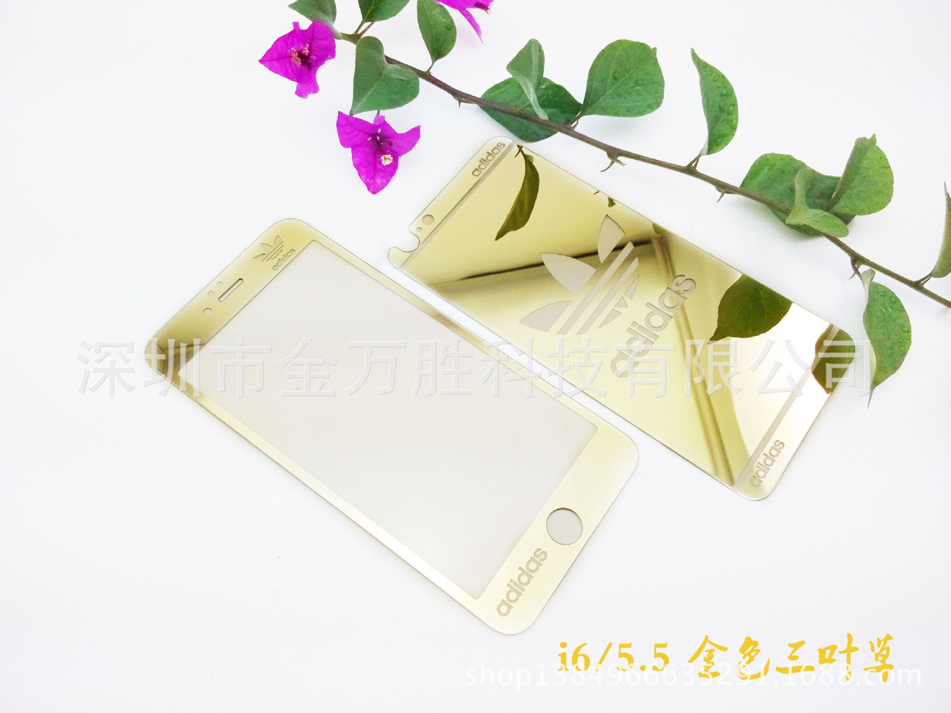 金色三葉草 5.5
