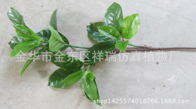 XRB-095梨叶三叉支27叶60CM单枝1