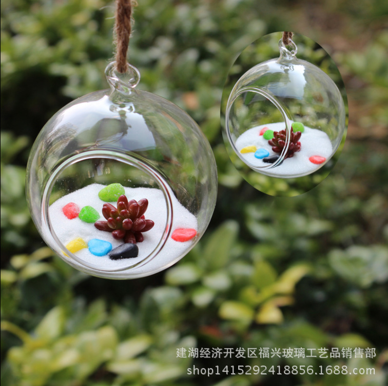 跨境货源微景观玻璃花瓶水培 简约现代创意花瓶 悬挂植物吊瓶|ru