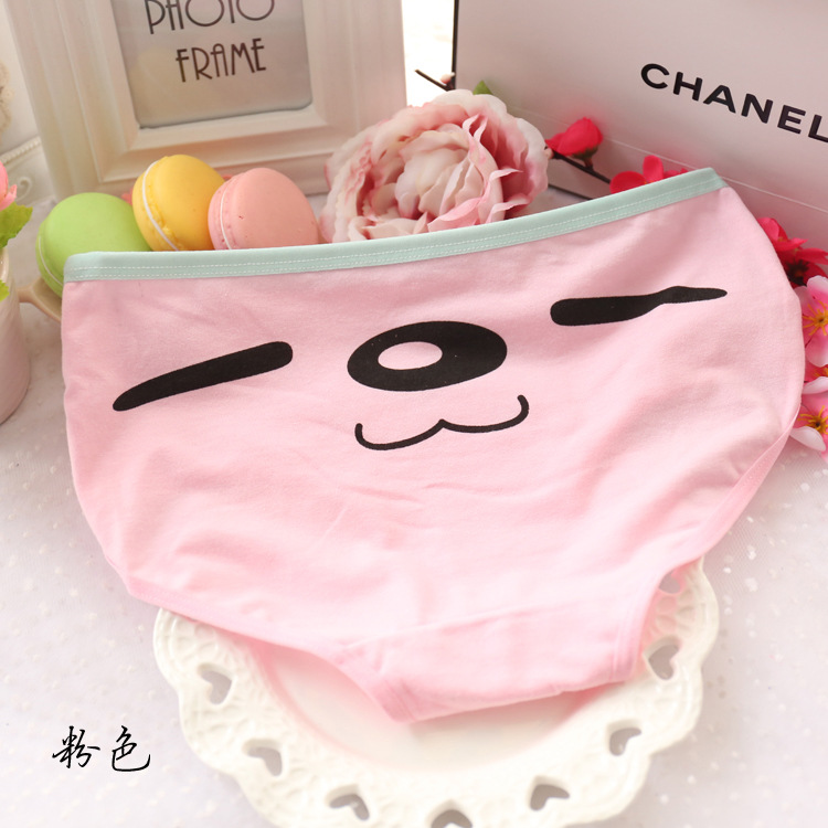 Slip jeune L106 en coton - Ref 648479 Image 24