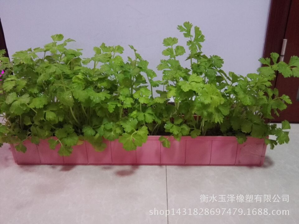 QQ圖片20151114141602