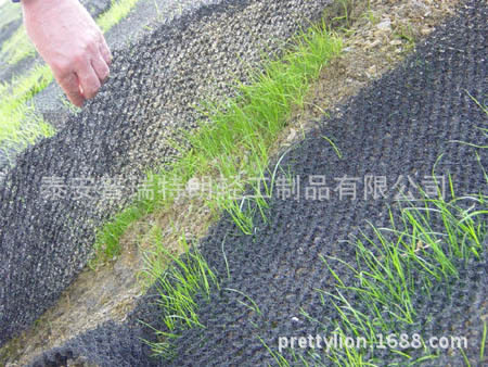 geogrille-de-renfort-geomat-44