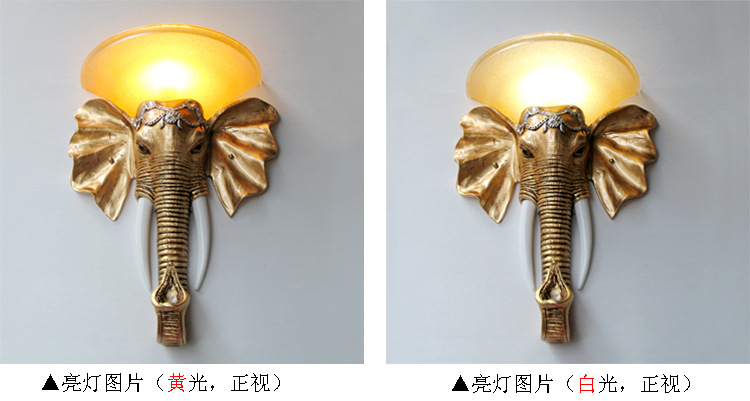 872大耳朵大象-19