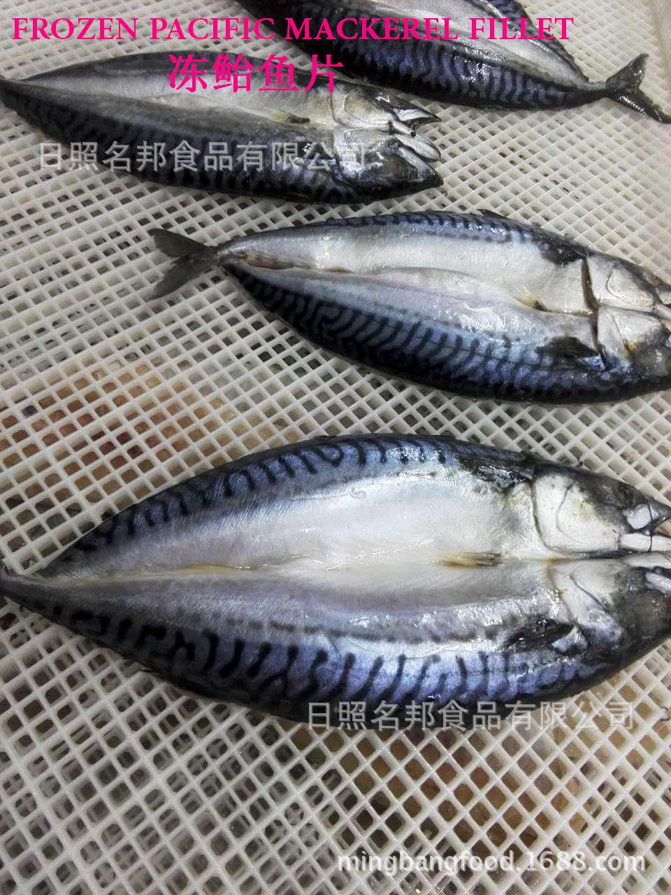 鲐鱼鲅鱼哪个好吃,鲅鱼与鲐鲅鱼哪个好,鲐鲅鱼(第8页)_大山谷图库