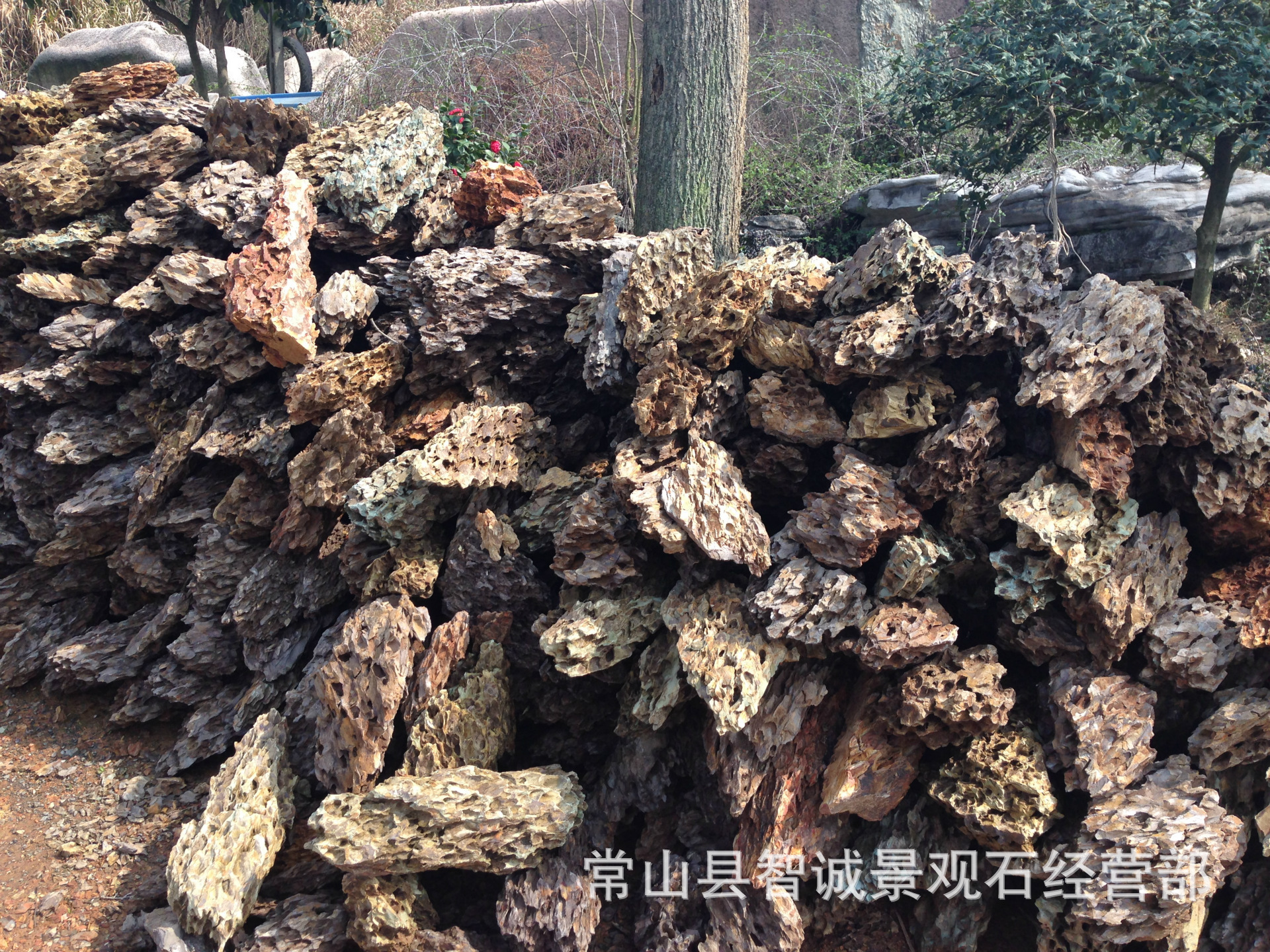 新年新货 山体最表层高品松皮石 造景石 景观石-阿里巴巴