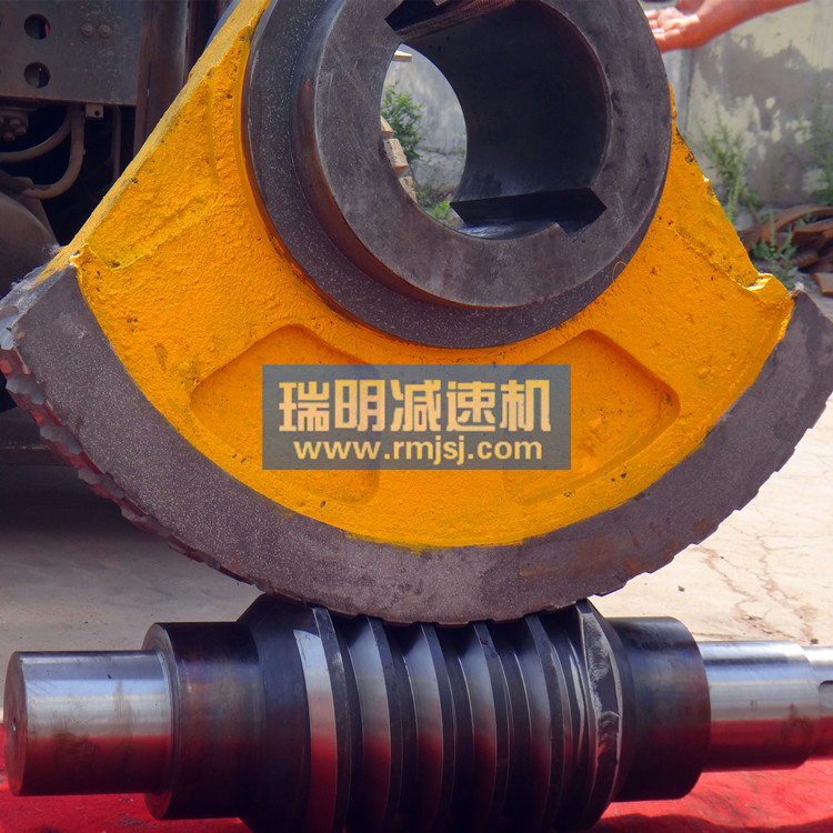 阀门行业用扇形平面二次包络环面蜗轮蜗杆副 德州瑞明