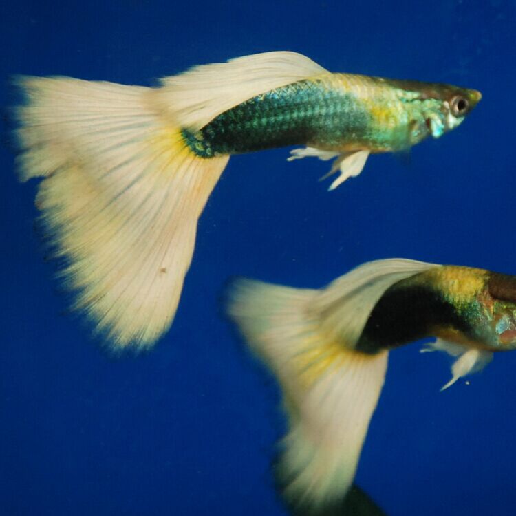 QQ图片20150613092639