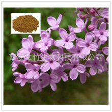 桃金娘科丁香_桃金娘科丁香价格_优质桃金娘