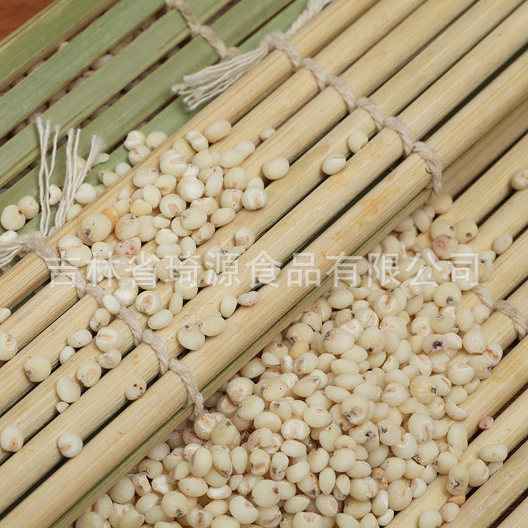 Low Temperature Baked Sorghum Millet Grain for Soy Milk and Congee specifications