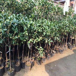 ���K�޽ӹ��� �𻨘��� �޽ӽ�� �޽ӵ��� ����޽ӽ����