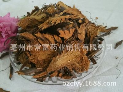 优质中药材贯众 贯众超细粉 各种规格 支持验货