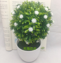 仿真花套装 小盆景草球 仿真植物盆栽 塑料花 满天星厂家批发