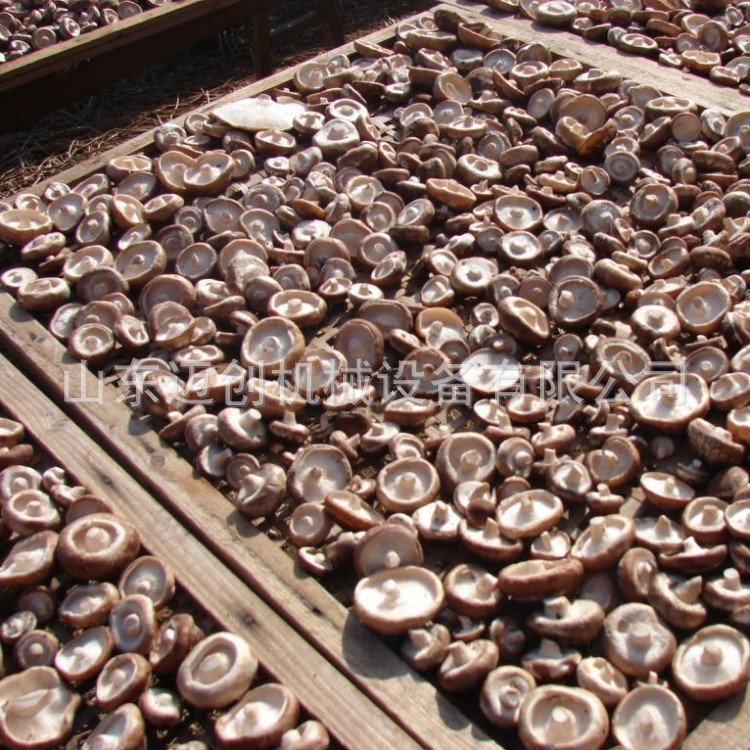 635453329639334227489_conew1