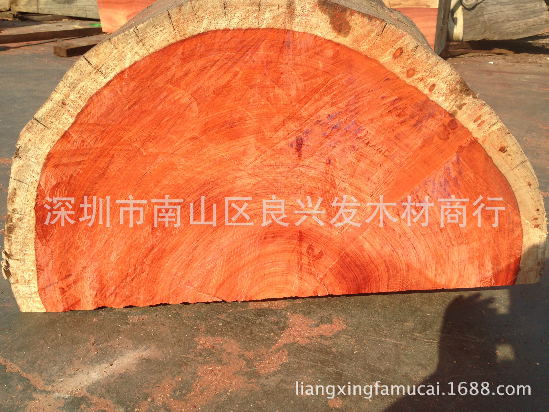 非洲红花梨 非洲紫檀原木 定尺定寸生 产 原木批发一手价格-阿里巴巴