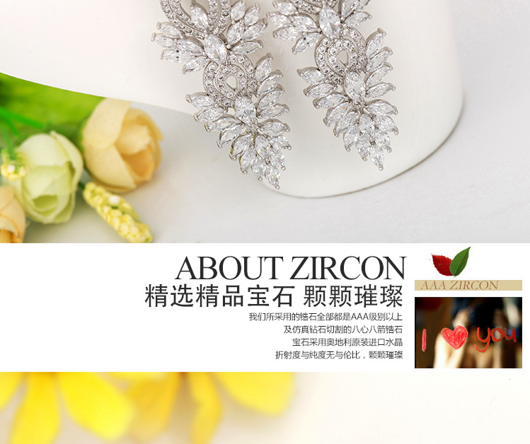 Fashion Jewelry Wholesale Aaa Zircon Super Flash Bridal Dinner Earrings Wholesale display picture 3