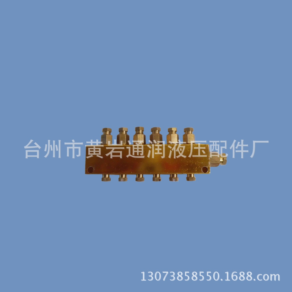 供应稀油润滑系统配件可调式分油器b-6-8-10