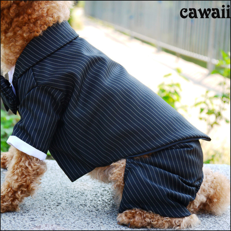 Suit 1