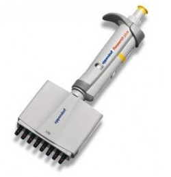 0.5-10ul艾本德EppendorfResearchplus八道可调量程移液器