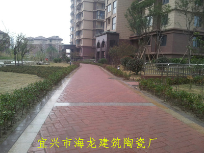 优质供应陶土烧结砖 （200*100*50 红色）|ms