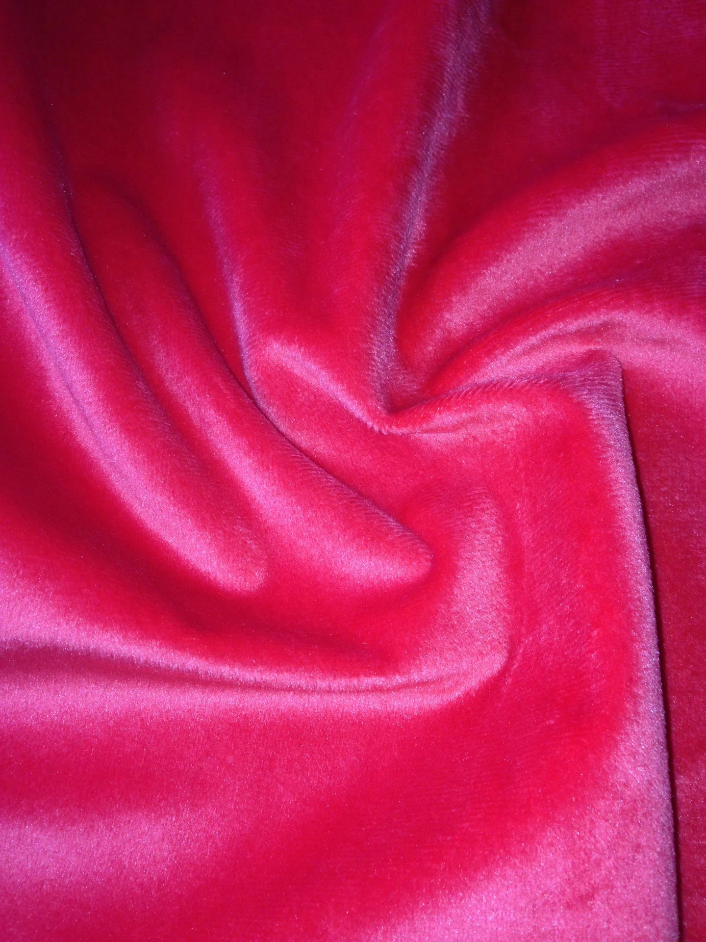 2069597331_1676753000.jpg_.web