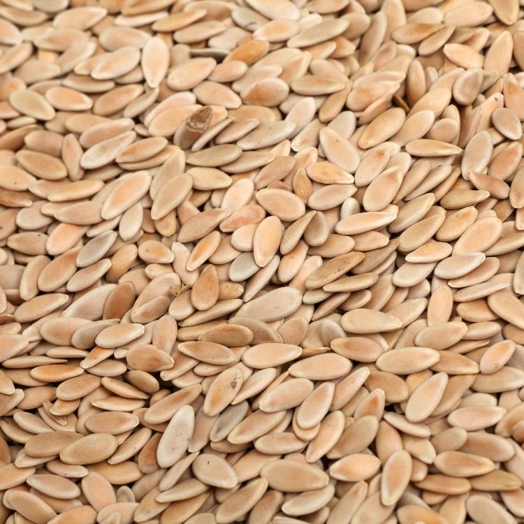 Roasted Muskmelon Seeds Low Temperature Baked Bulk Melon Seeds 500g quality and texture