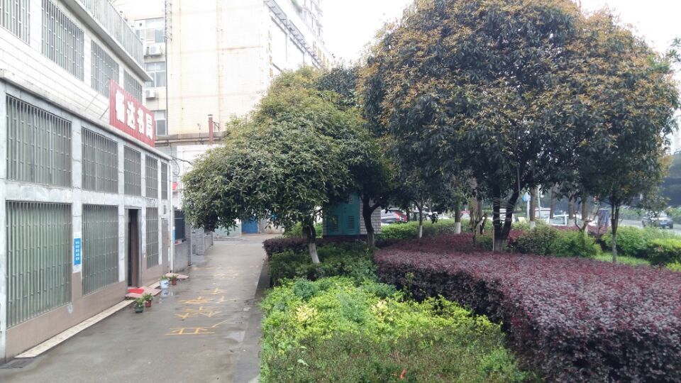 QQ图片20150328134316