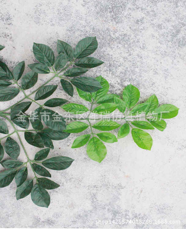 XRS-088五叉富贵叶95叶平面叶子