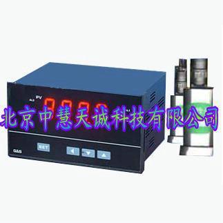 振动烈度仪/振动监控仪 型号：ZH9905