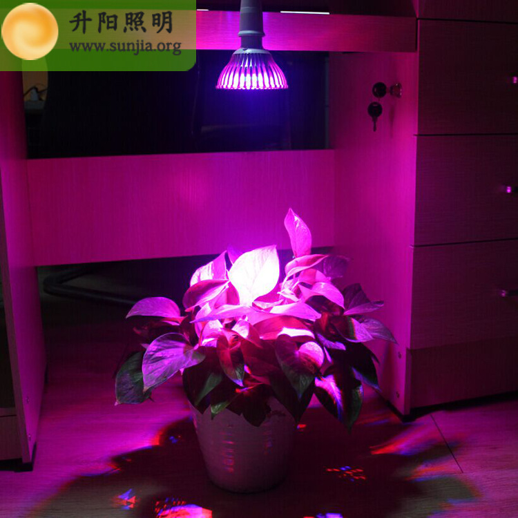 Zhongshan Place of Origin Direct selling LED Botany Grow lights fill-in light Succulent plants Flower lamp greenhouse Manufactor wholesale