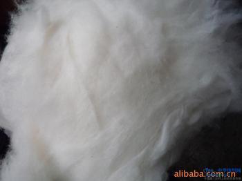 u=4128439265,2324263303&fm=23&