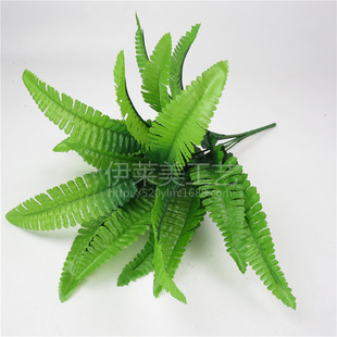 3��F؛���沨˹�� 21�~С��˹�~���滨ާ�~��������ֲ������b�