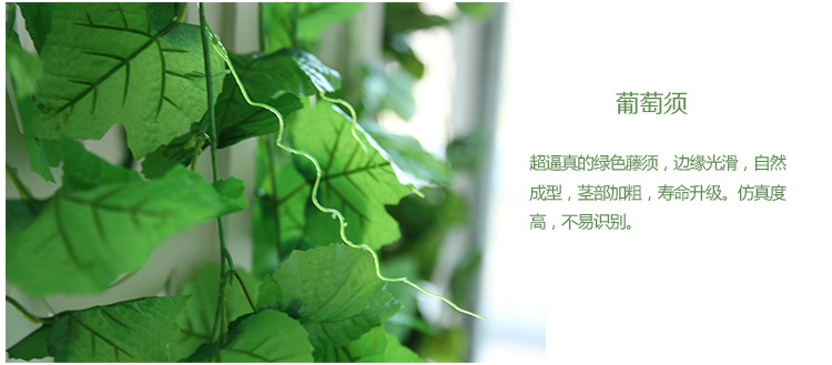 750葡萄葉_29_02