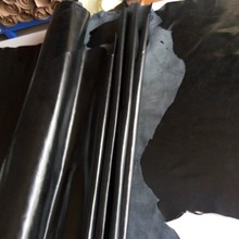 F؛| ^SţƤ ɫRƤ Ƥ ϞƤ