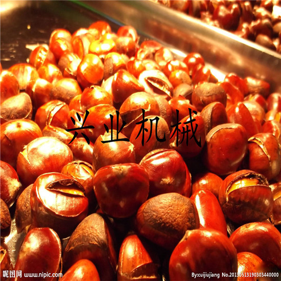 兴业机械厂家直销 新型瓜子翻炒机 电加热板栗炒货机厂家