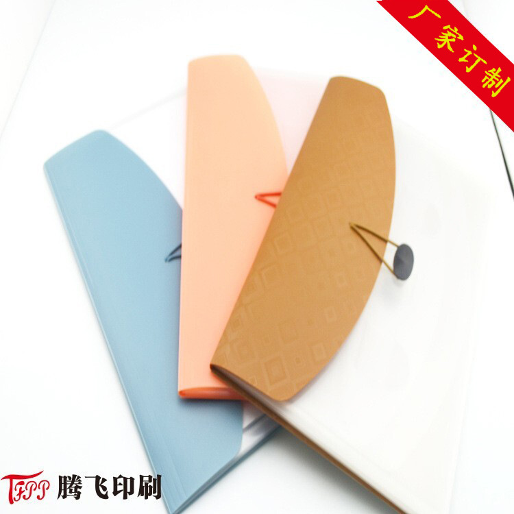 厂家定1做pp文件夹彩色透明磨砂办公用品A4纸可印