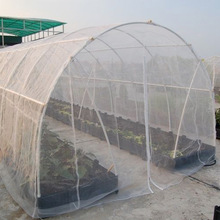 农用防虫网 园艺用品有机蔬菜花卉等之物理防虫 60目2米宽