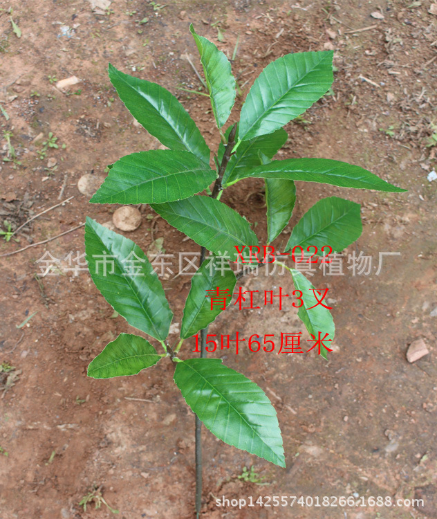 青杠叶3叉枝16叶整