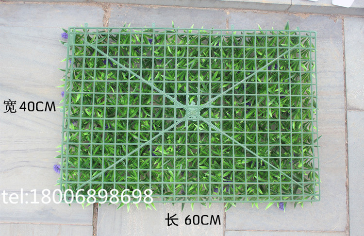 IMG_4866_副本_副本_副本