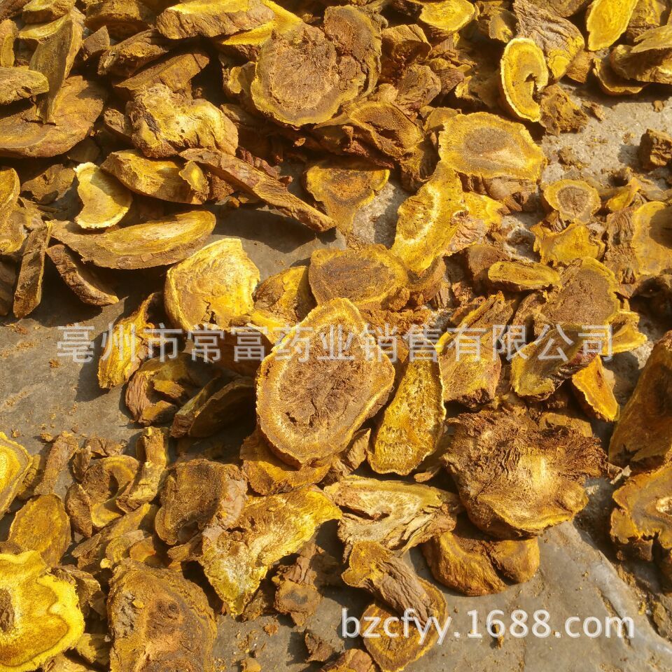 Dried Rhubarb Root Slices Da Huang 500g Traditional Chinese Herb for Decoction and Tea in use