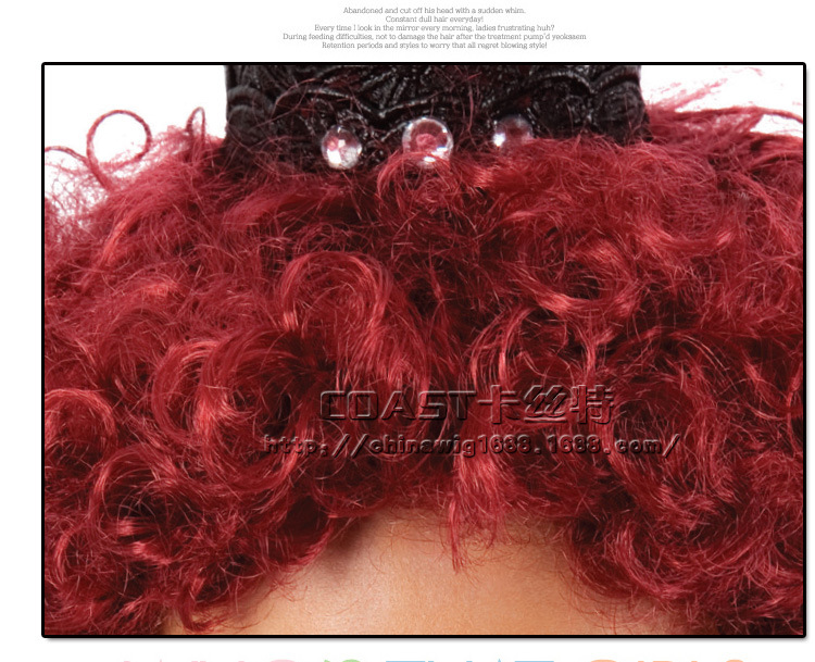 Perruque - Ref 2610769 Image 11