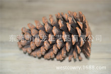 ���������ɹ�������ɹ���,���N��Ȼ�ɹ�.