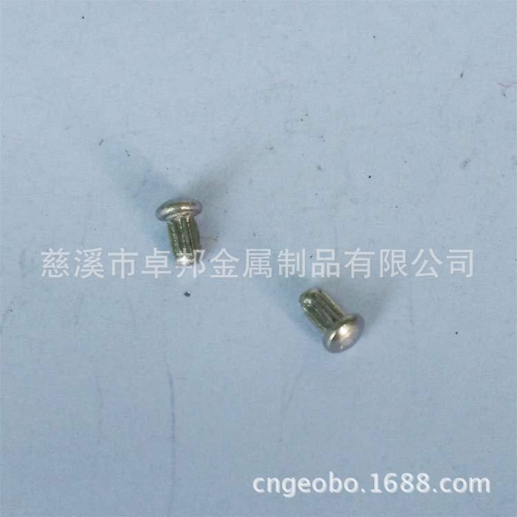 专业供应不锈钢标牌铆钉 SUS304直纹铆钉 2*4