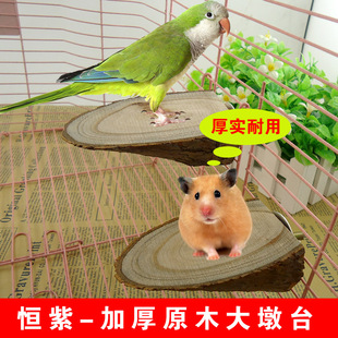 �W�^ �}�� ���� С�����ľ�|���̨ ������̨  �Bվ��