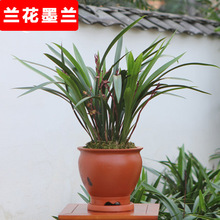 �ļ�ī�m���� ���m��  ���m ���m ���ܾGֲ��Ʒ����