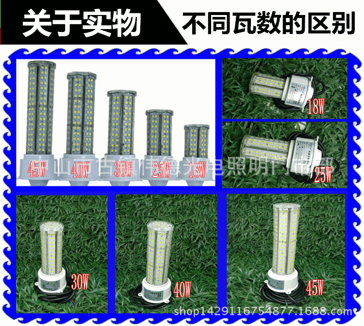 捕鱼灯关于实物、不同瓦数的