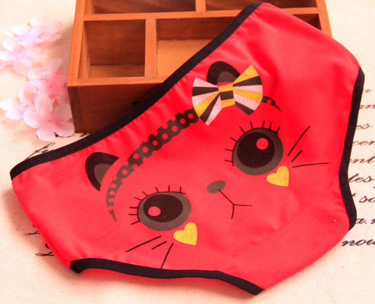 Slip jeunesse en coton - Ref 655340 Image 33