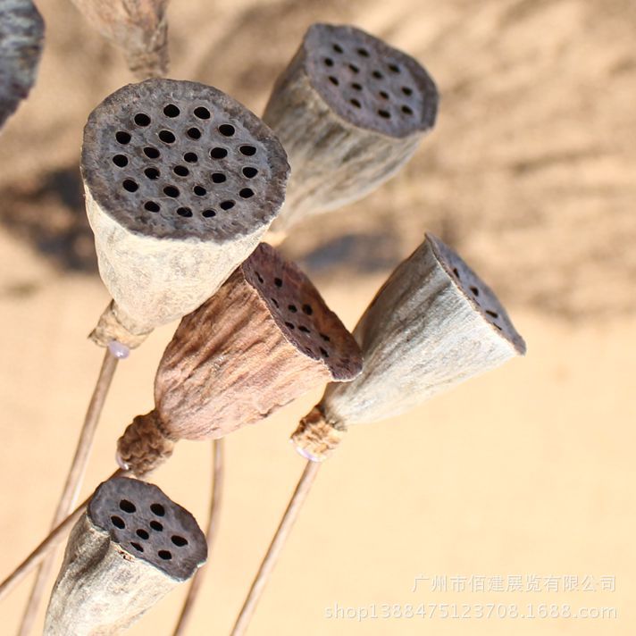 Xiaolian Peng Zhi 2~ 3CM wholesale Artificial Flower Vein flower Dried flowers decorate a living room shot prop wholesale