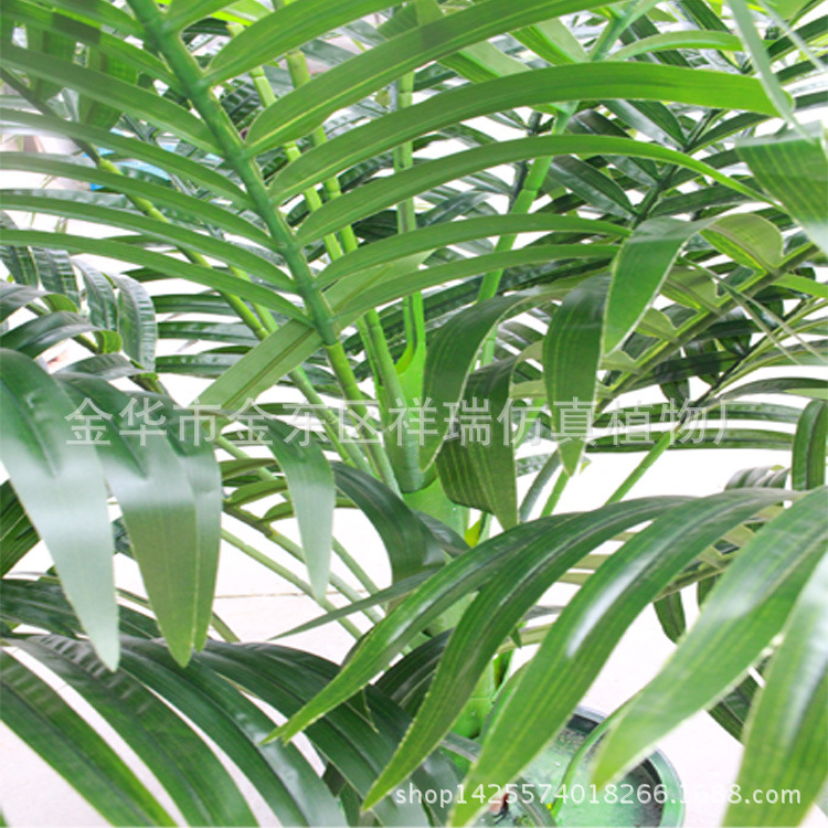 散尾葵叶橡塑布杆子叶子